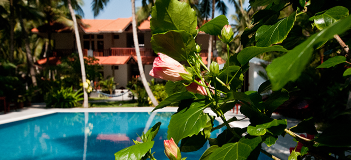 The Linta's: Resort Ayurvedico in Kerala, Ayurveda in India. Trattamenti Ayurvedici in India; Medicina Ayurvedica in India